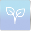 form
